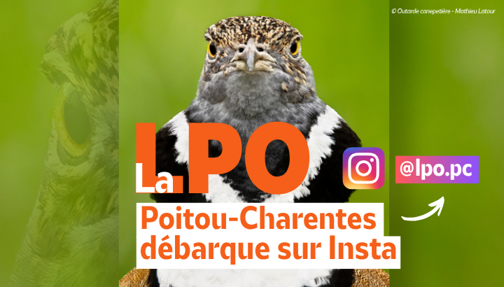Restez à la page, suivez-nous sur Insta !